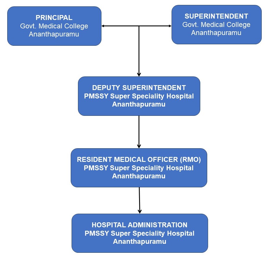 Organization Chart